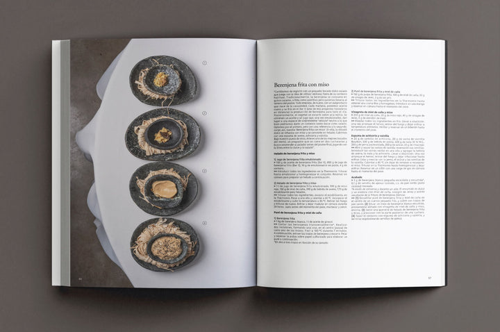 apicius n.46　スペイン語 英語 併記