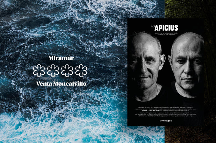 apicius n.48　スペイン語 英語