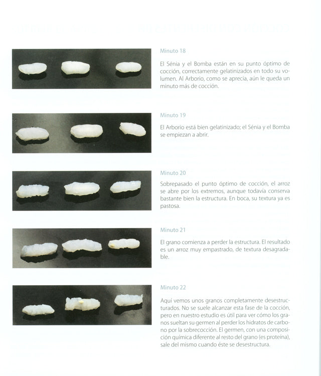 arroces contemporaneos : Quique Dacosta (スペイン・デニア)