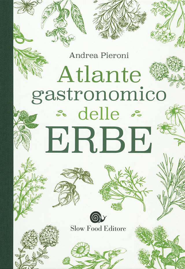 Atlante gastronomico delle ERBE (イタリア) 傷みあり