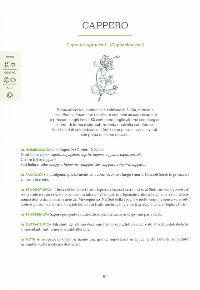 Atlante gastronomico delle ERBE (イタリア) 傷みあり