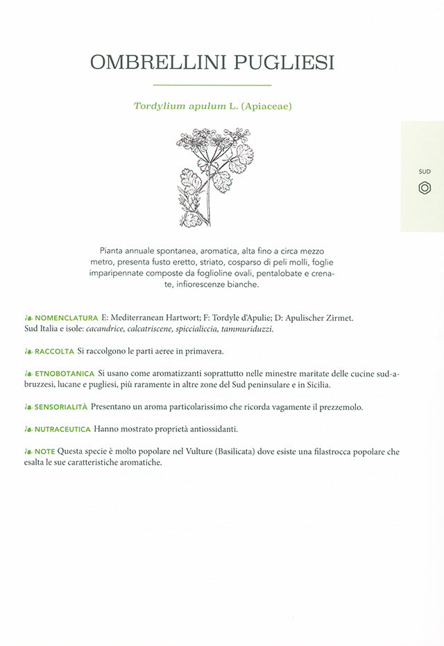 Atlante gastronomico delle ERBE (イタリア) 傷みあり