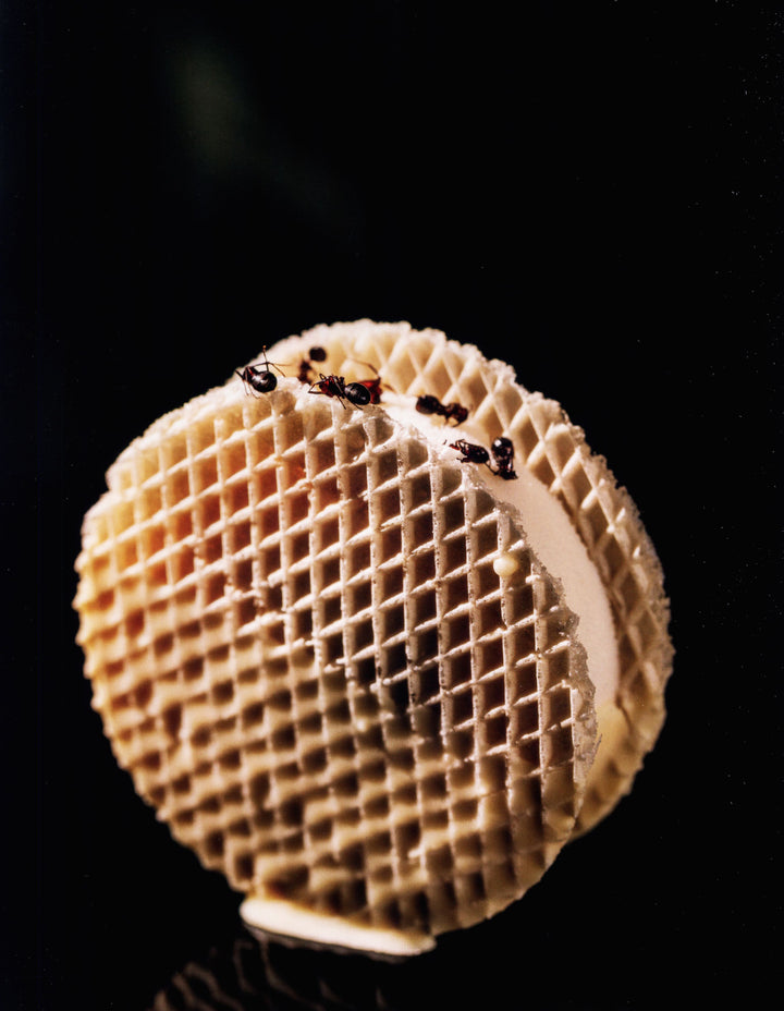 BEYOND CHOCOLATE (スペイン)　英語