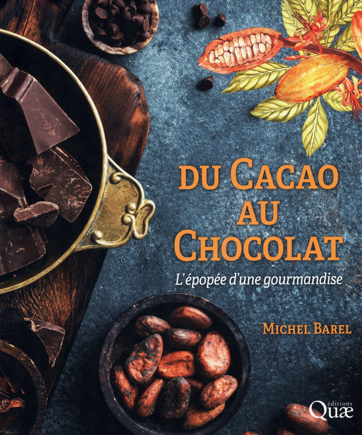 Du cacao au chocolat : Michel Barel (フランス)