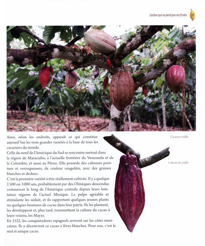 Du cacao au chocolat : Michel Barel (フランス)