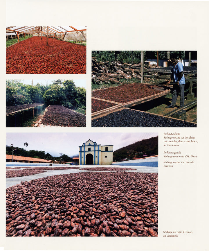 Du cacao au chocolat : Michel Barel (フランス)