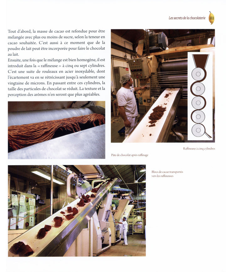 Du cacao au chocolat : Michel Barel (フランス)