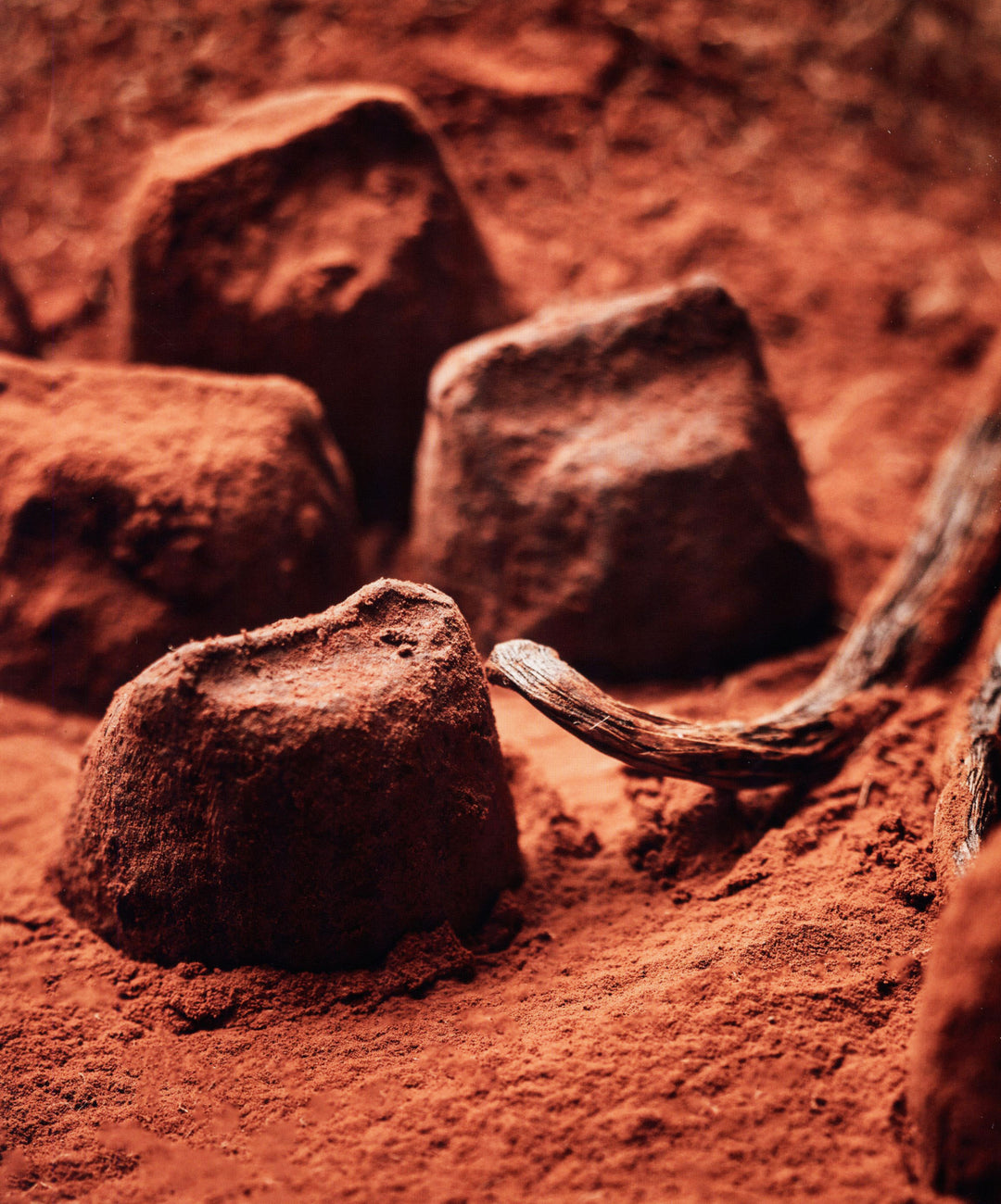 Du cacao au chocolat : Michel Barel (フランス)