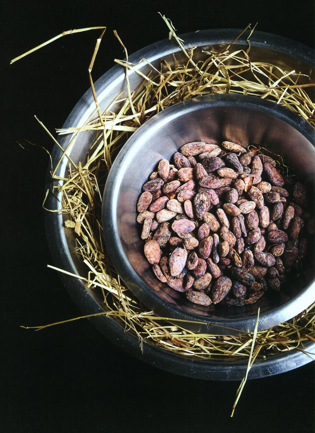 CACAO  Pierre Marcolini (ベルギー)