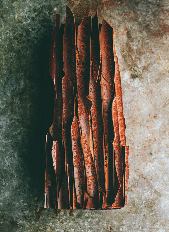 CAKE Jean Sulpice (フランス タロワール・モンマン)
