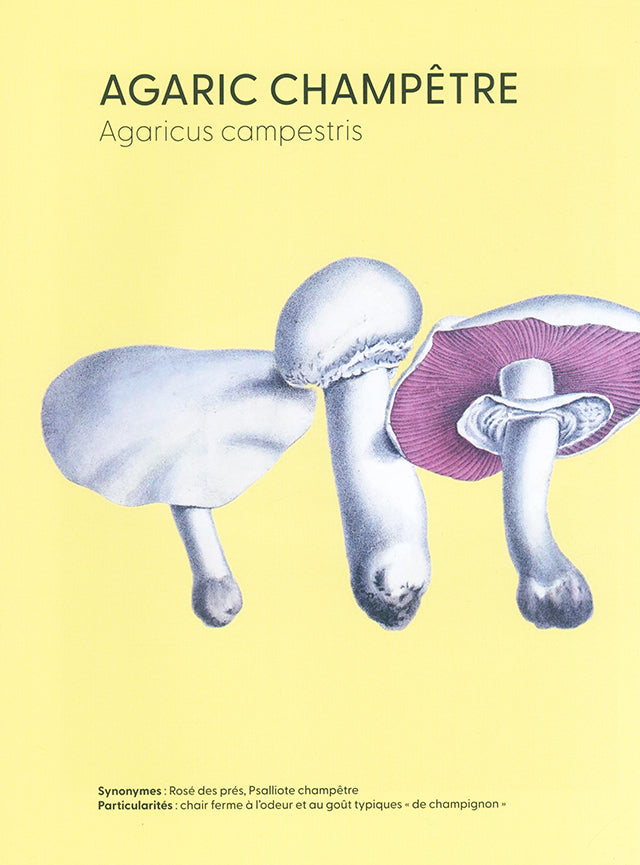 Champignons sauvages et gourmands (ベルギー) フランス語