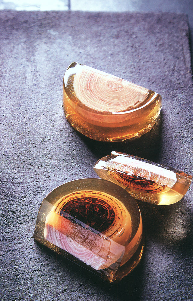 LA CHARCUTERIE GUY KRENZER 120 produits, 120 recettes (フランス・パリ)
