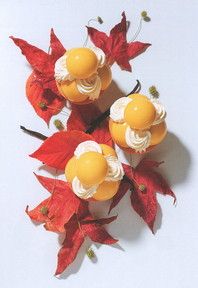 Claire Damon  Des gateaux &amp; des saisons (フランス・パリ)