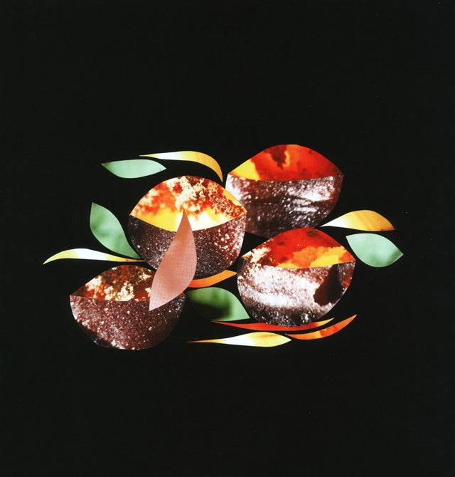 ALAIN PASSARD collage &amp; recette  (フランス パリ)