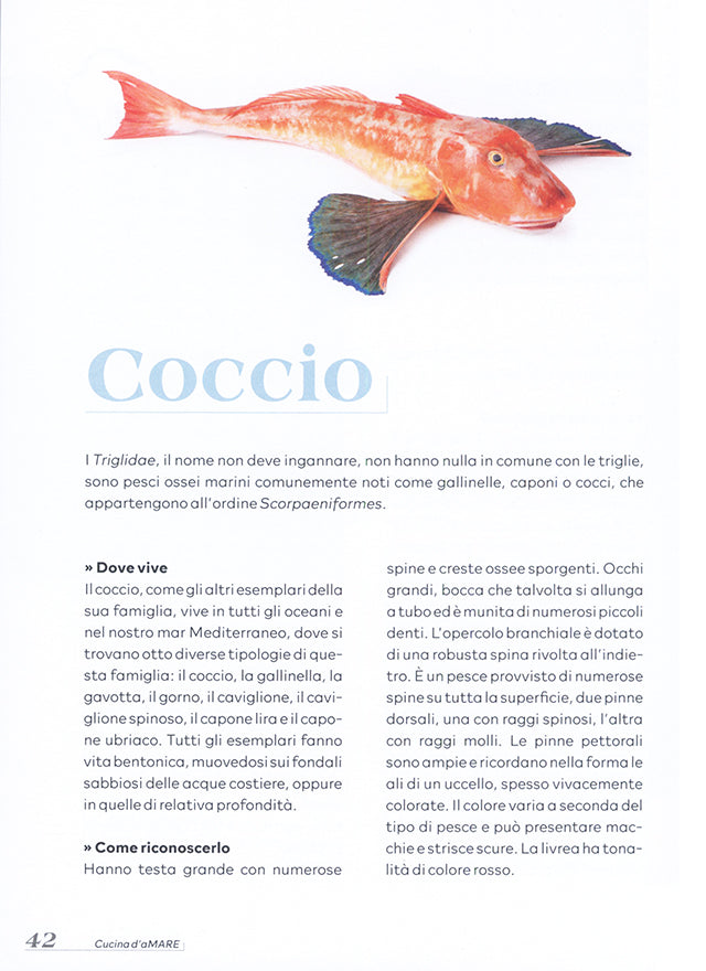Cucina d&