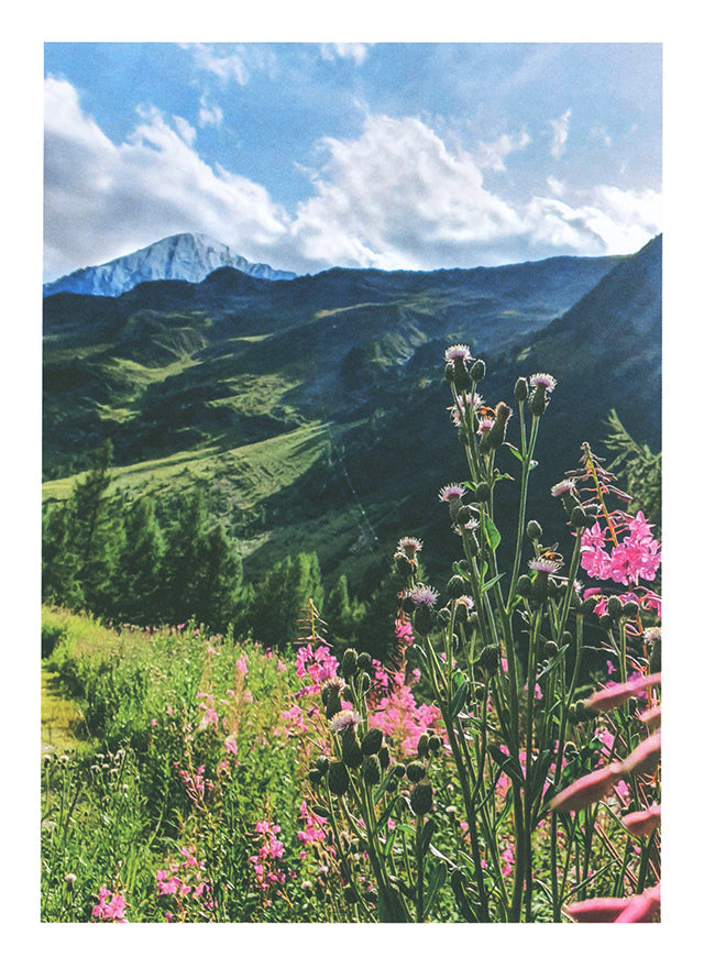 La cucina di montagna  Slow Food Editore (イタリア) 傷みあり