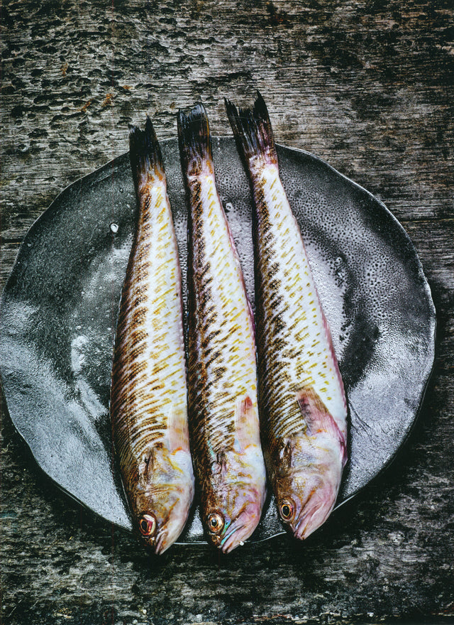 CUISINER LA MER  (フランス・パリ)
