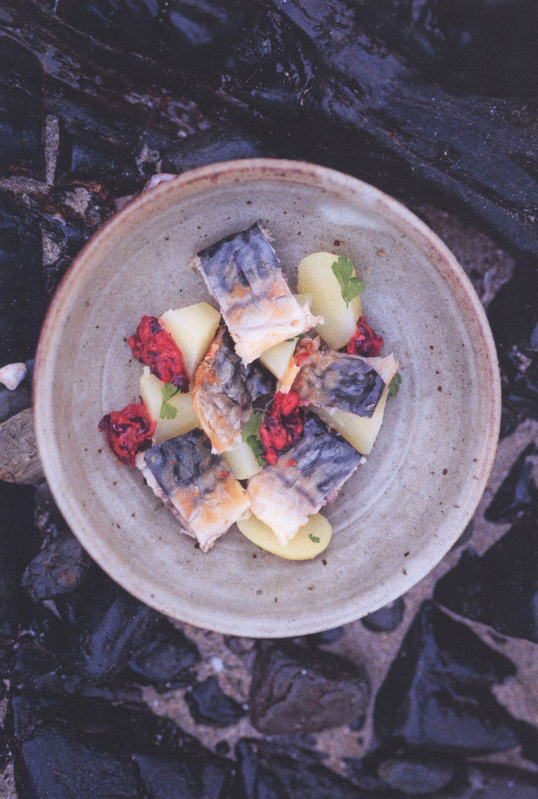 La cuisine des algues : Tiphaine Perron