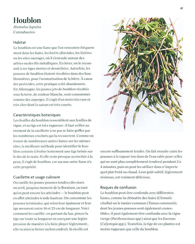 La cuisine des plantes sauvages (フランス)