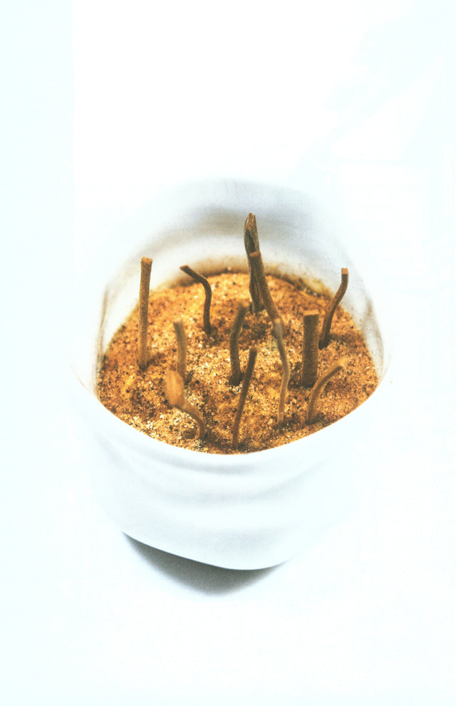 UNE CUISINE D’EXPRESSIONS : Olivier Nasti (フランス・アルザス)