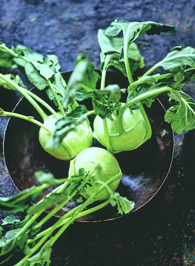 CUISINER LA TERRE  (フランス・パリ)