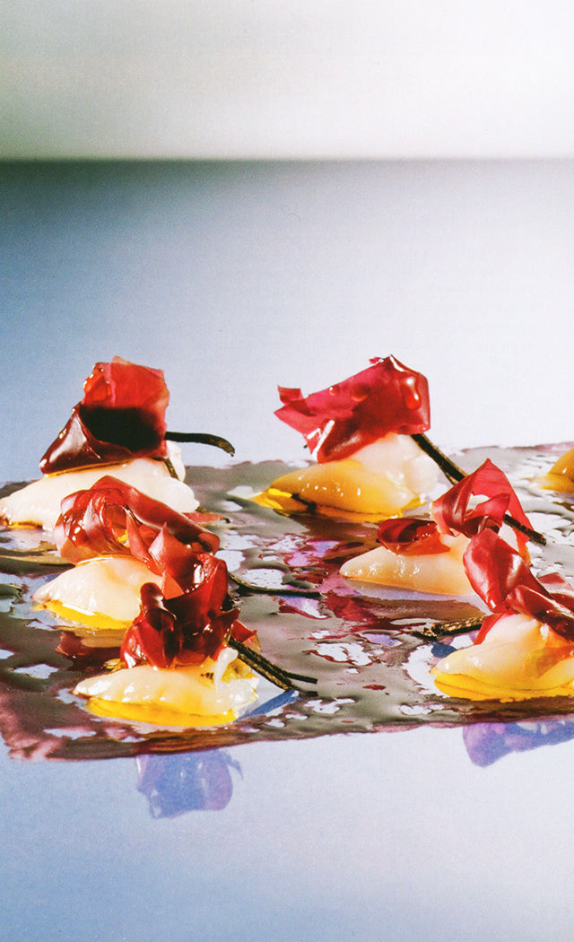 Dal Mare Pesci, alghe, molluschi e quinto quarto : Matteo Vigotti MONDADORI (イタリア・ミラノ)