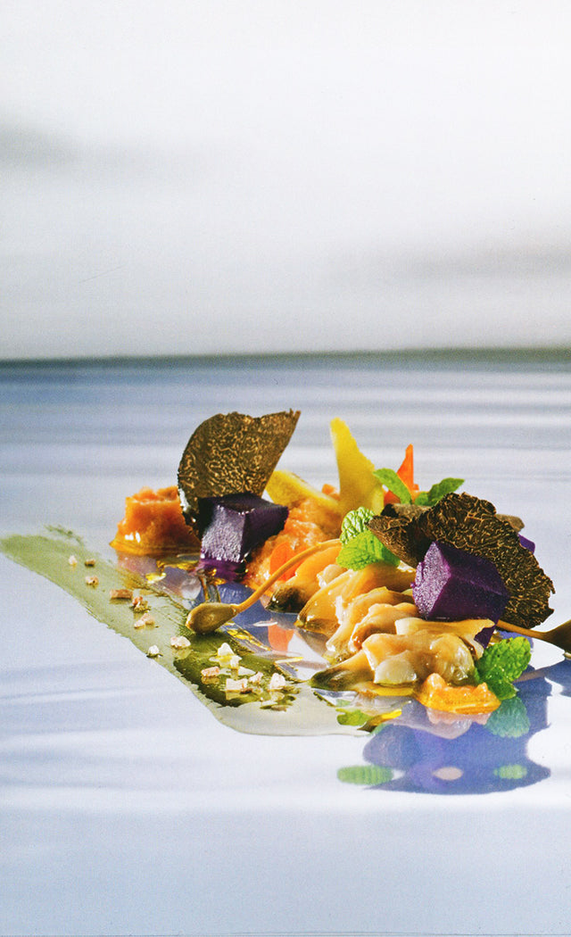 Dal Mare Pesci, alghe, molluschi e quinto quarto : Matteo Vigotti MONDADORI (イタリア・ミラノ)