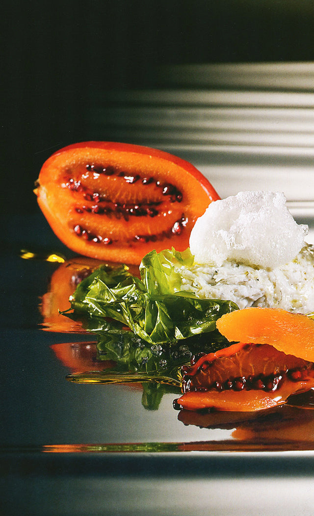 Dal Mare Pesci, alghe, molluschi e quinto quarto : Matteo Vigotti MONDADORI (イタリア・ミラノ)