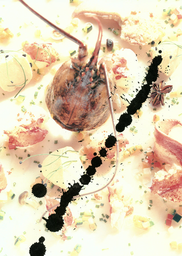 DAMARE (イタリア・ブルザポルト)