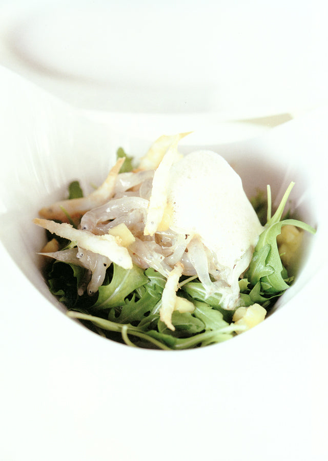 DAMARE (イタリア・ブルザポルト)