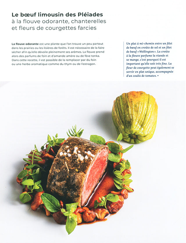 Stephane Decotterd - Gastronomie entre lac et montagnes (スイス)