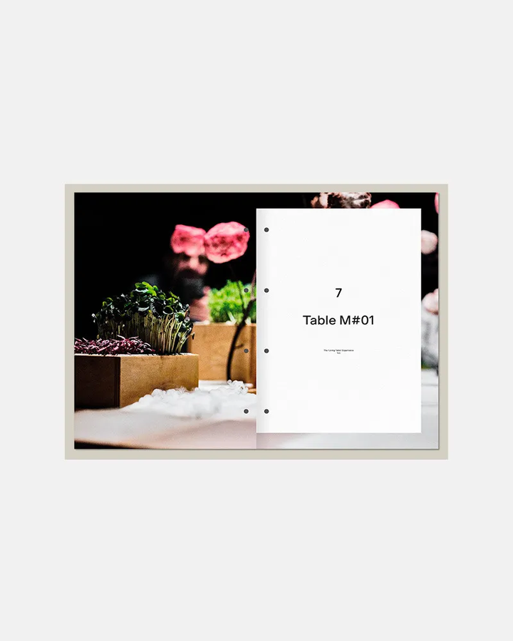 DISFRUTAR VOL. 3  (スペイン・バルセロナ)　英語版