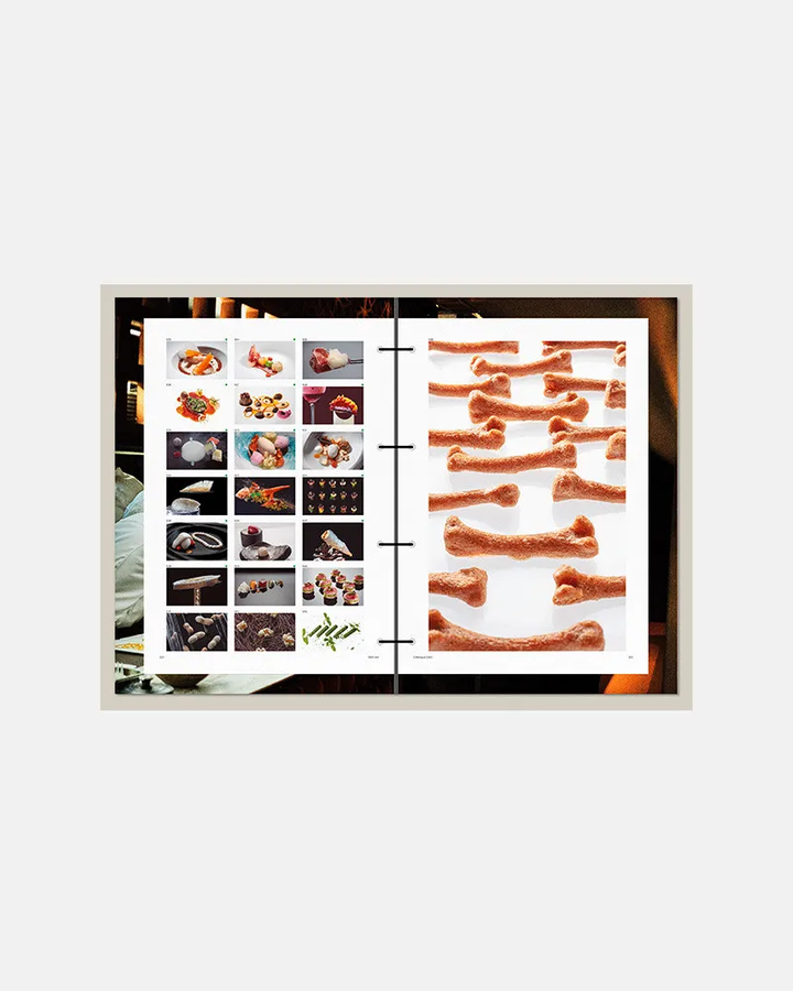 DISFRUTAR VOL. 3  (スペイン・バルセロナ)　英語版