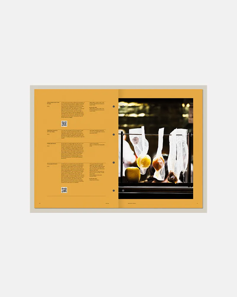 DISFRUTAR VOL. 3  (スペイン・バルセロナ)　英語版