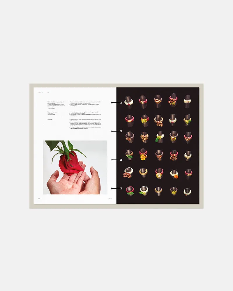 DISFRUTAR VOL. 3  (スペイン・バルセロナ)　英語版