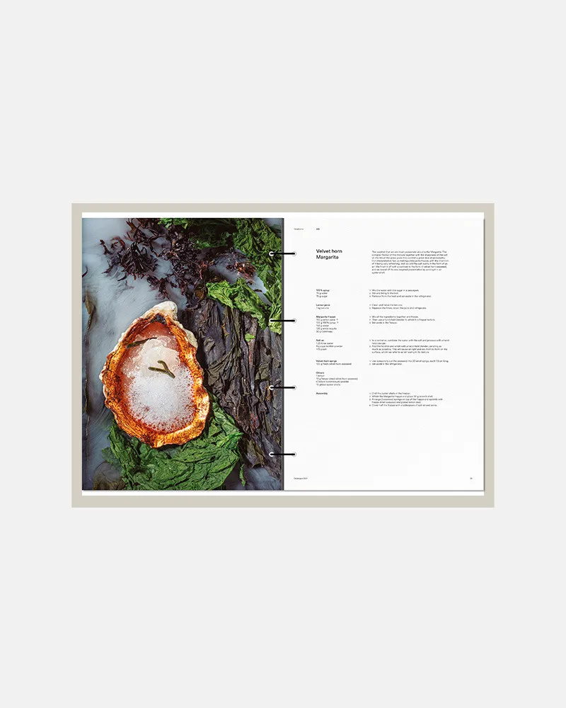 DISFRUTAR VOL. 3  (スペイン・バルセロナ)　英語版