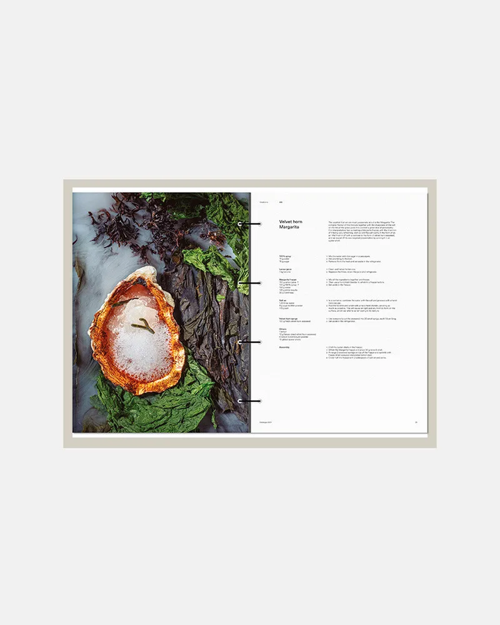 DISFRUTAR VOL. 3  (スペイン・バルセロナ)　英語版