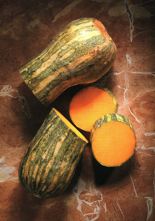 D.O.M  Alex Atala (ブラジル　サンパウロ)