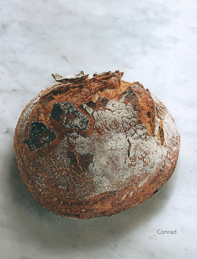 dulcypas 492 (スペイン)