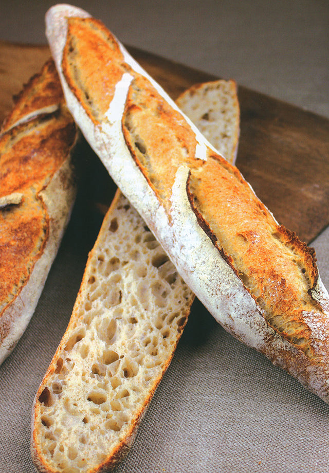 DU LEVAIN au pain / SOURDOUGH TO BREAD (フランス) 英語併記