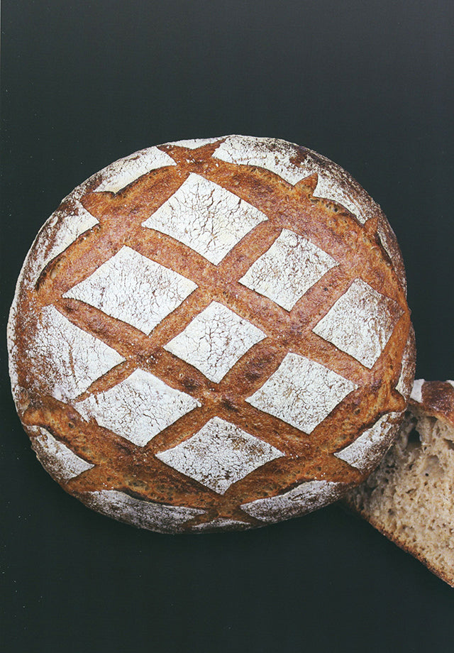 DU LEVAIN au pain / SOURDOUGH TO BREAD (フランス) 英語併記