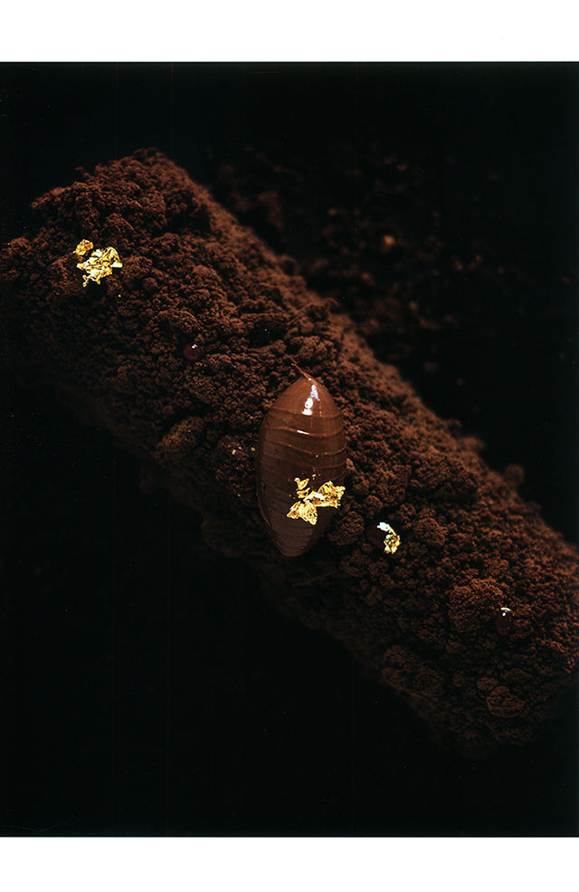 dulcypas 461 (スペイン)