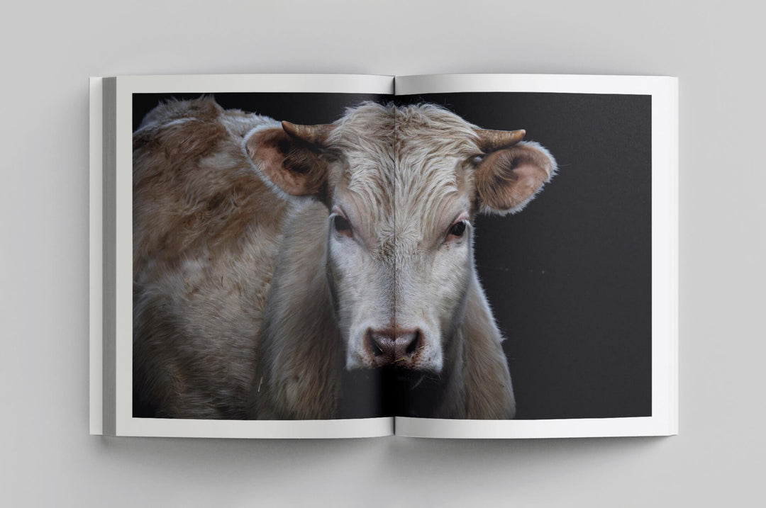 Echaurren Cronica y cocina de una familia (スペイン・リオハ)　英語併記