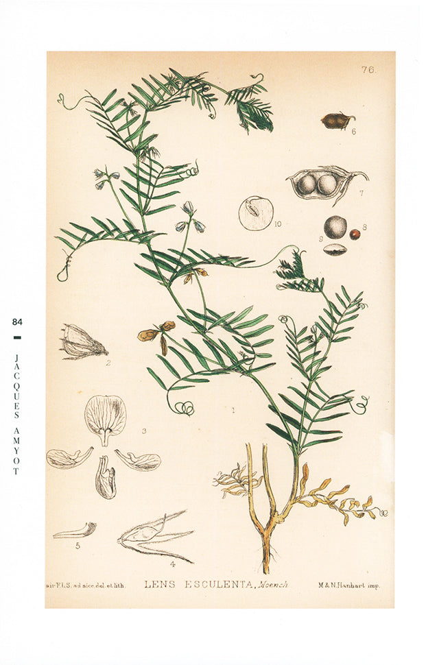 Guy Savoy cuisine les ecrivains, XVIe siecle (フランス・パリ) 傷みあり