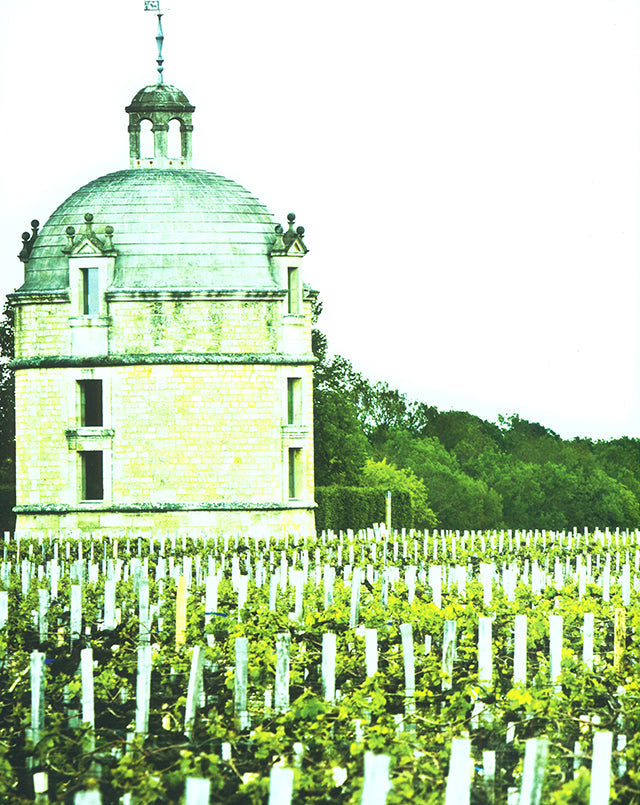 ELIXIRS PREMIERS GRAND CRUS CLASSES 1855 （フランス）