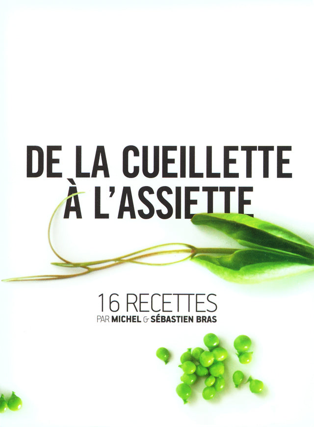 ENTRE LES BRAS  DVD  (フランス ラギオール)