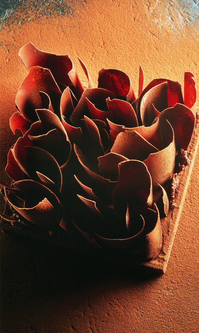 ENVIES CHOCOLAT : Frédéric Bau  (フランス タン・エルミタージュ)