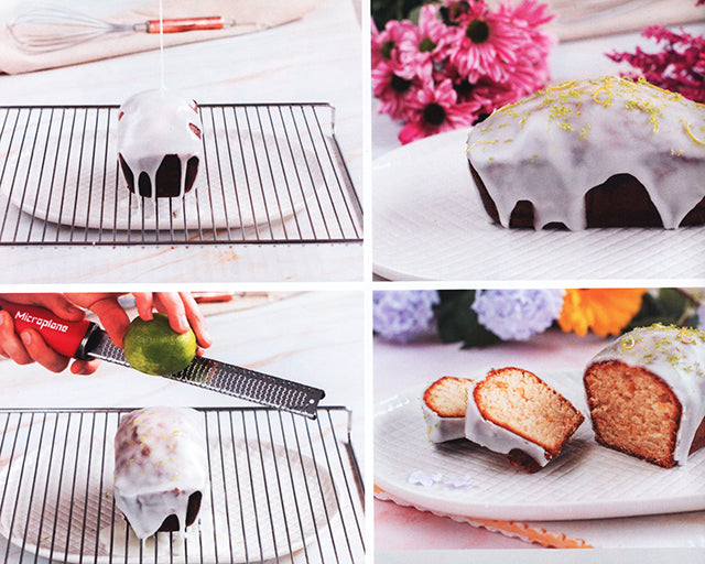 Essenzia : Leyre Pedrazuela (スペイン) 英語併記