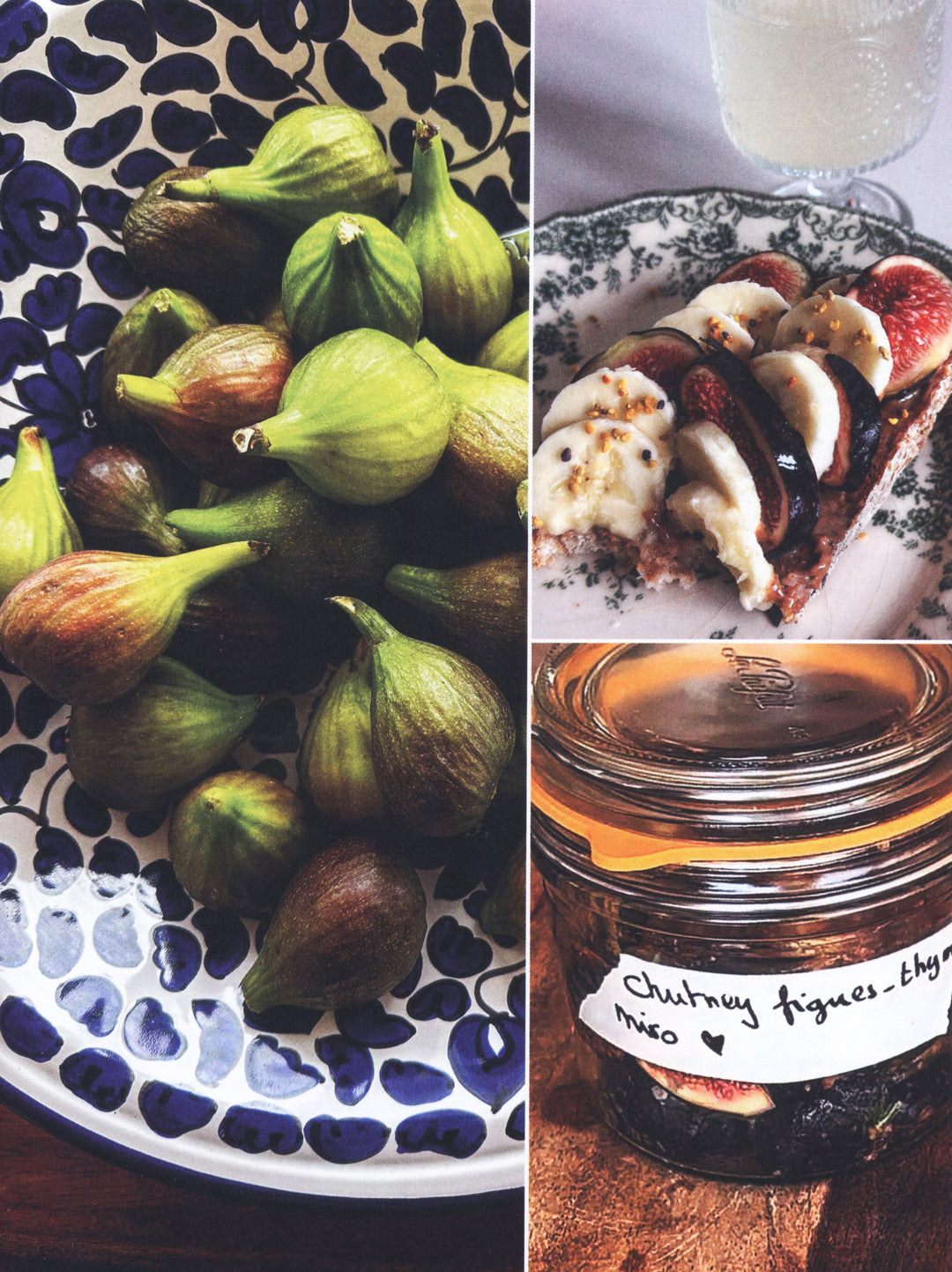 Fermentation a la maison : Salome Lenormand 傷みあり