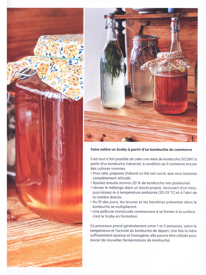 Fermentation a la maison : Salome Lenormand 傷みあり